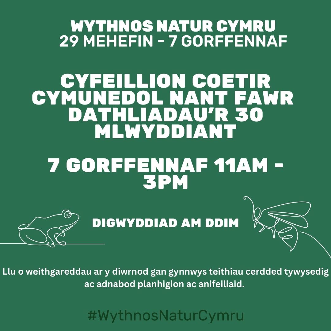 Cyfeillion Coetir Cymunedol Nant Fawr 